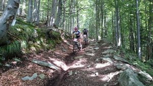 MTB Race Roll 2016, Sudety, Poland